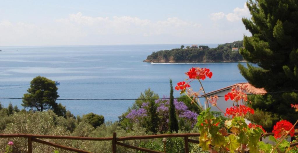 Helen'S 11 Boutique Achladies (Skiathos) Exterior foto